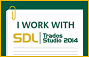 I work with SDL Trados Studio 2014